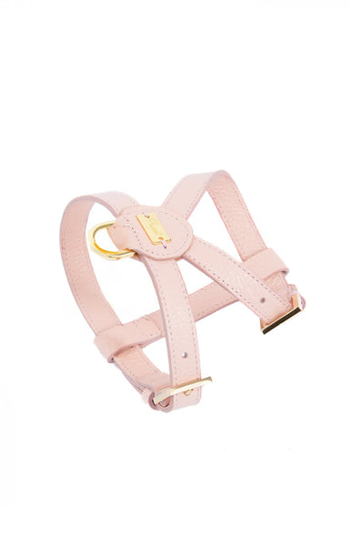 Compra rosa Pupet Couture - pettorina aurora