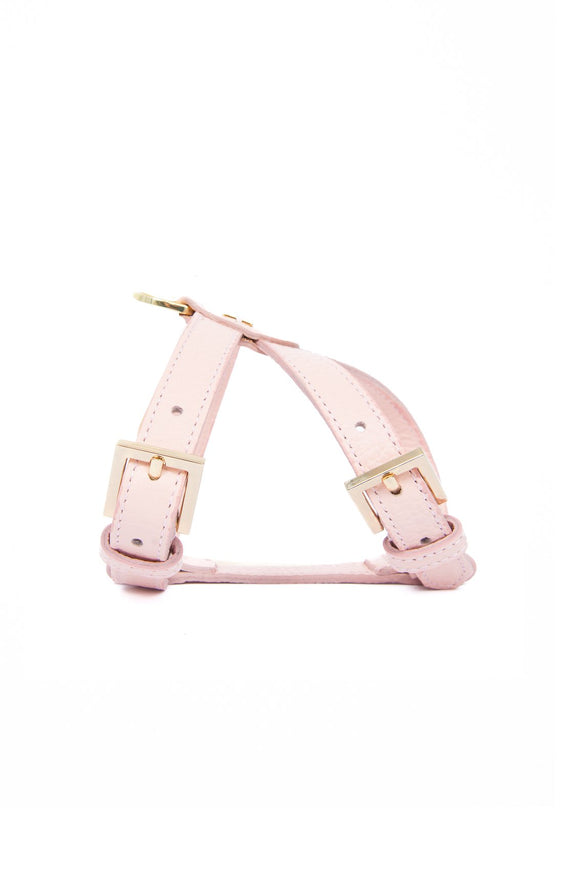 Pupet Couture - arnés aurora