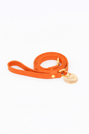 Pupet Couture - correa aurora-1