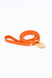 Arancione