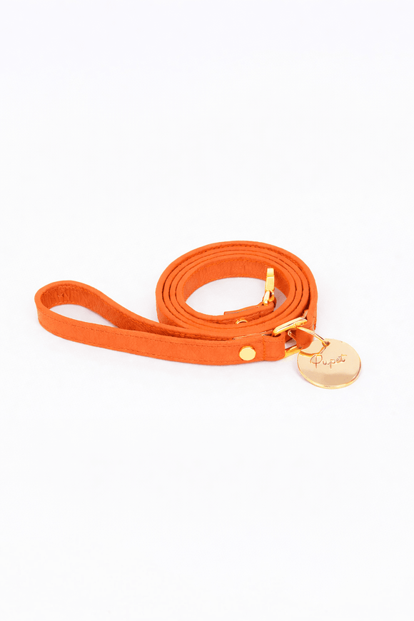 Pupet Couture - correa aurora
