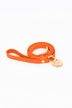 Arancione