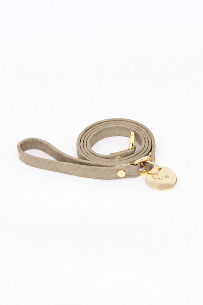 Compra cammello Pupet Couture - guinzaglio aurora