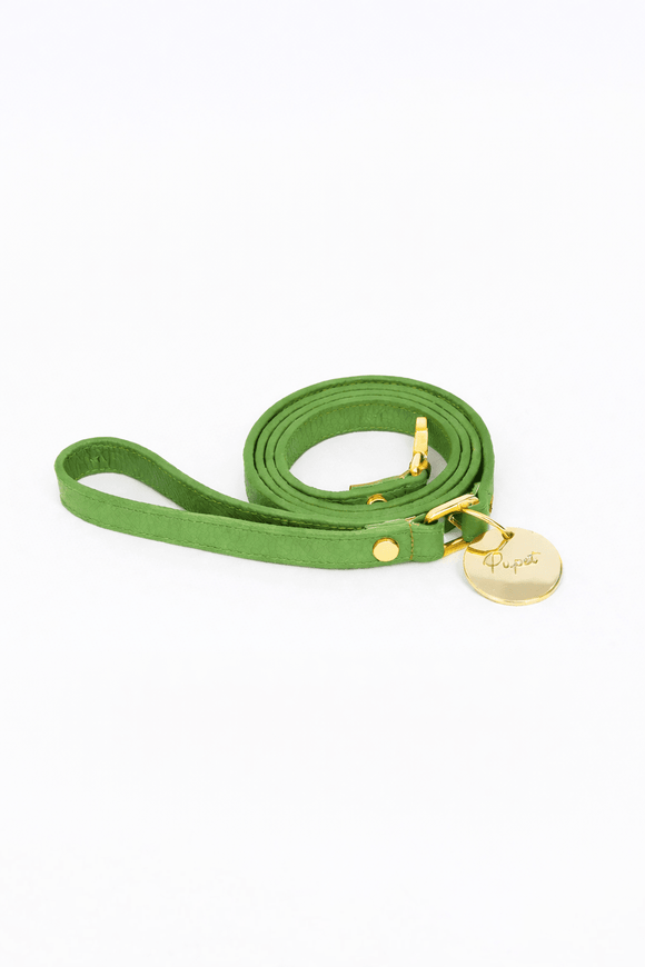 Pupet Couture - correa aurora