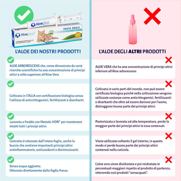 Aloeplus pâte orale pour chats