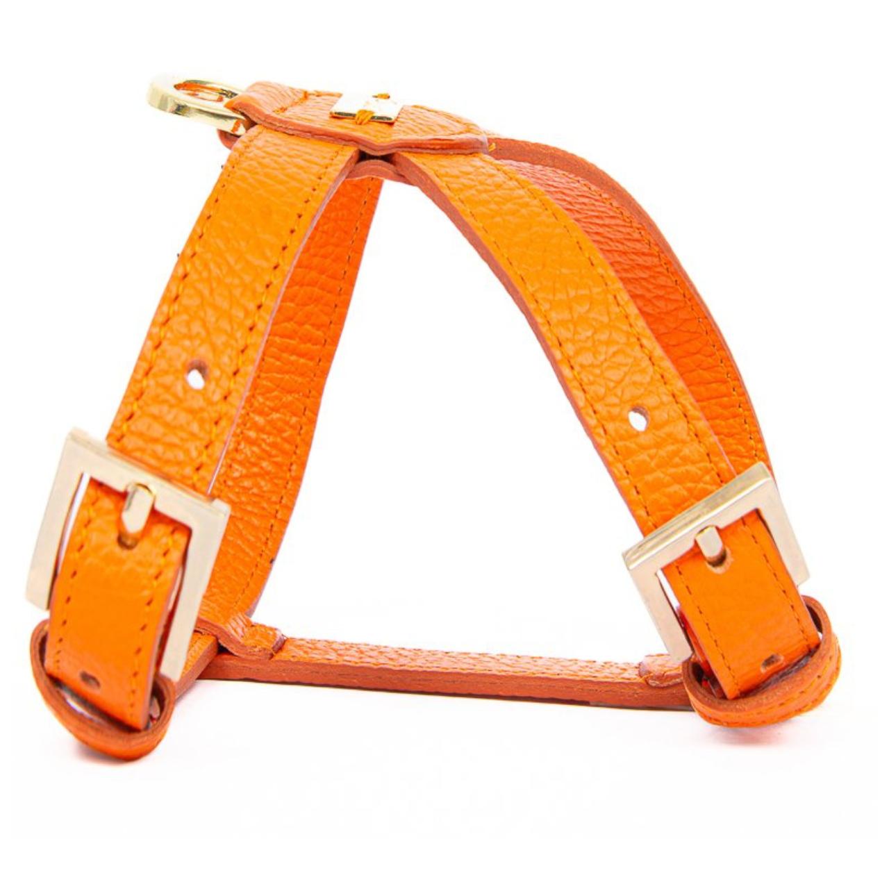 Pupet Couture - Geschirr Aurora