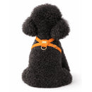 Pupet Couture - pettorina aurora-8
