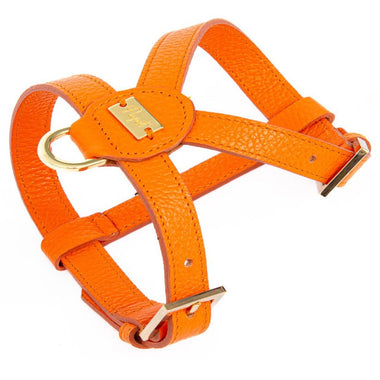Achat arancione Pupet Couture - harnais aurora