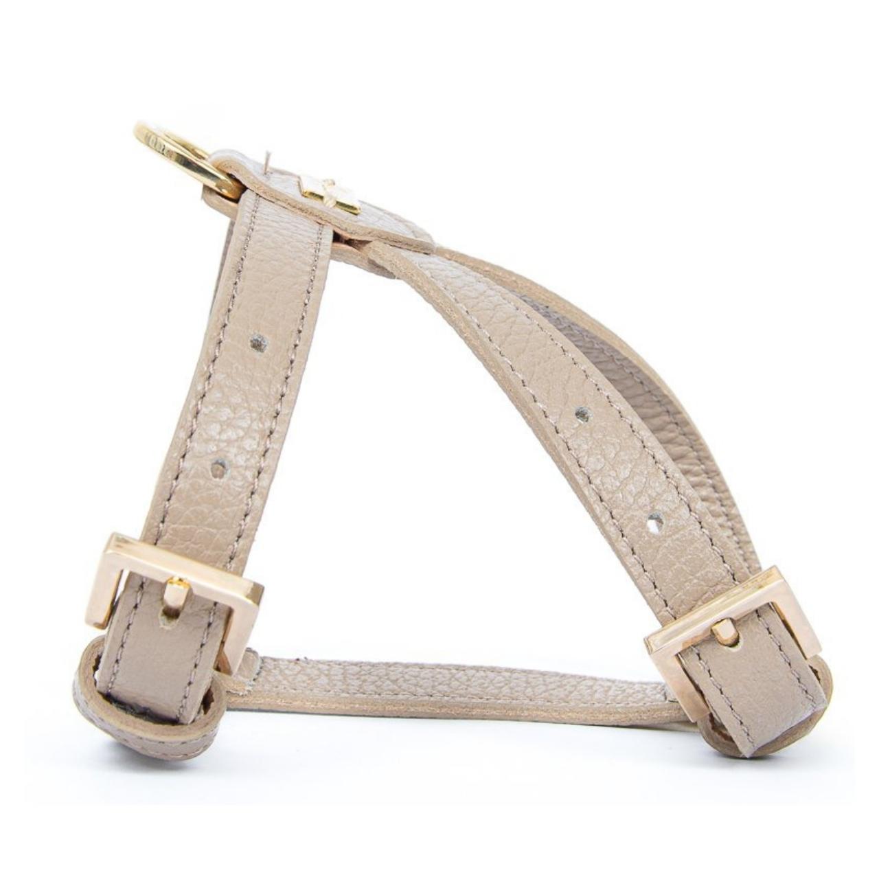 Pupet Couture - Geschirr Aurora