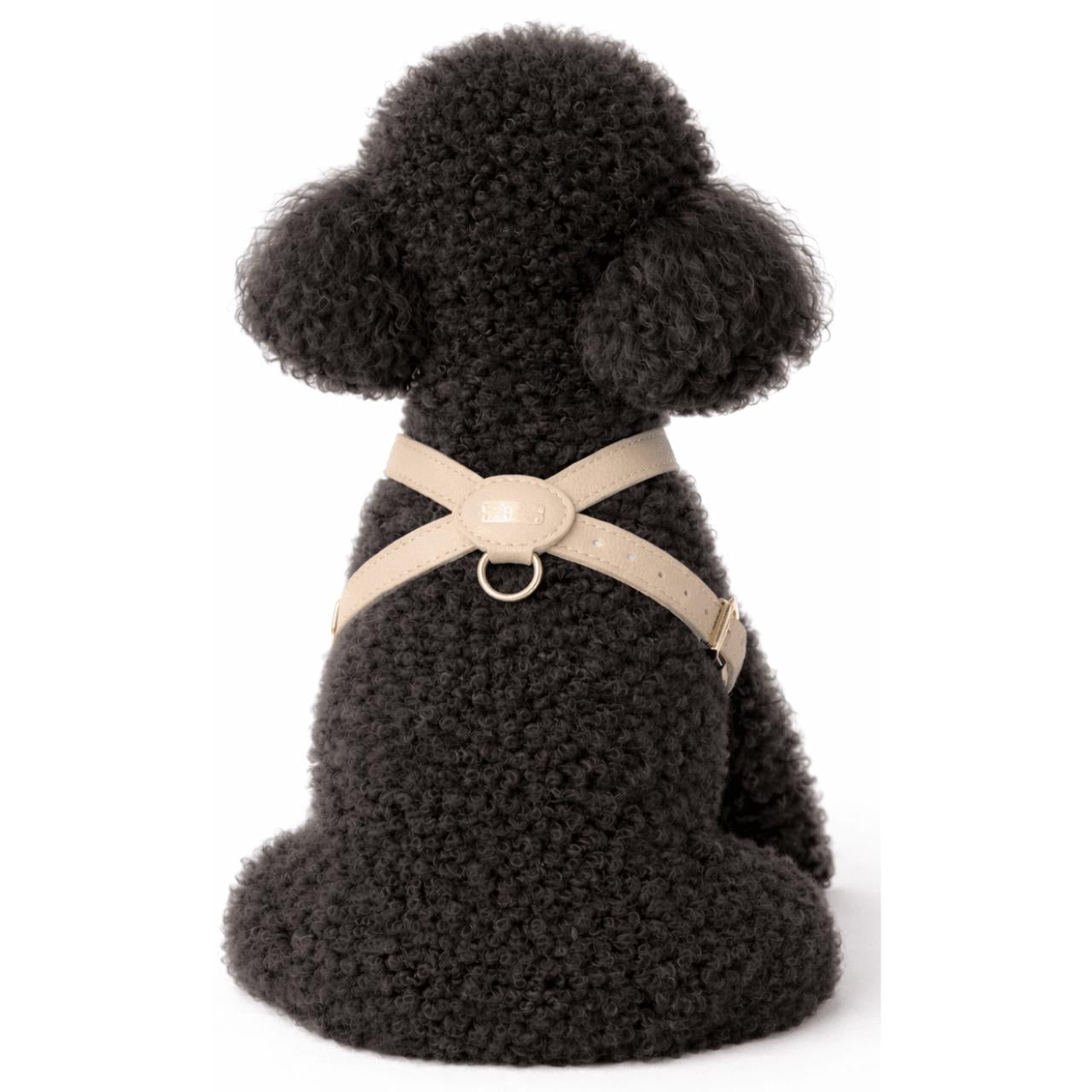 Pupet Couture - Geschirr Aurora