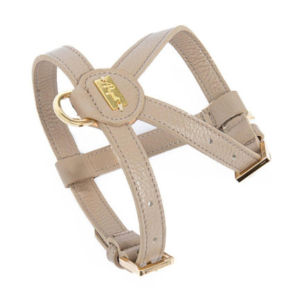 Compra cammello Pupet Couture - pettorina aurora