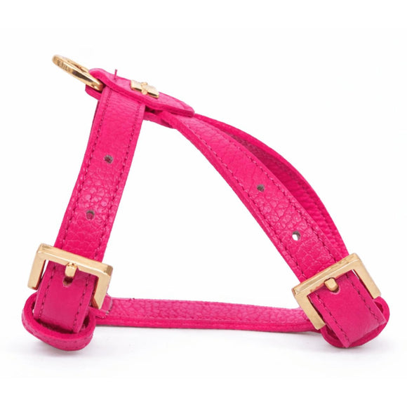 Pupet Couture - pettorina aurora