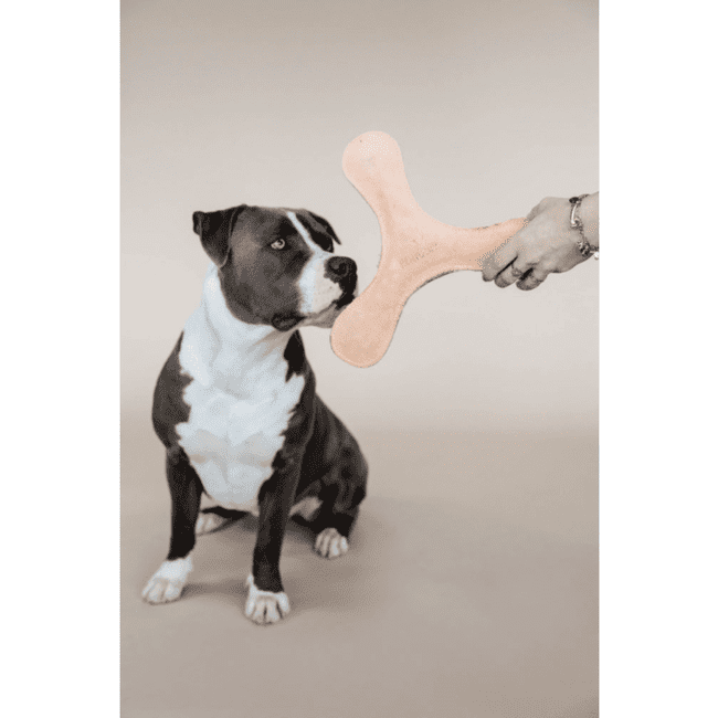 Pet Boutique-Kentucky - Giocattolo per cani Boomerang