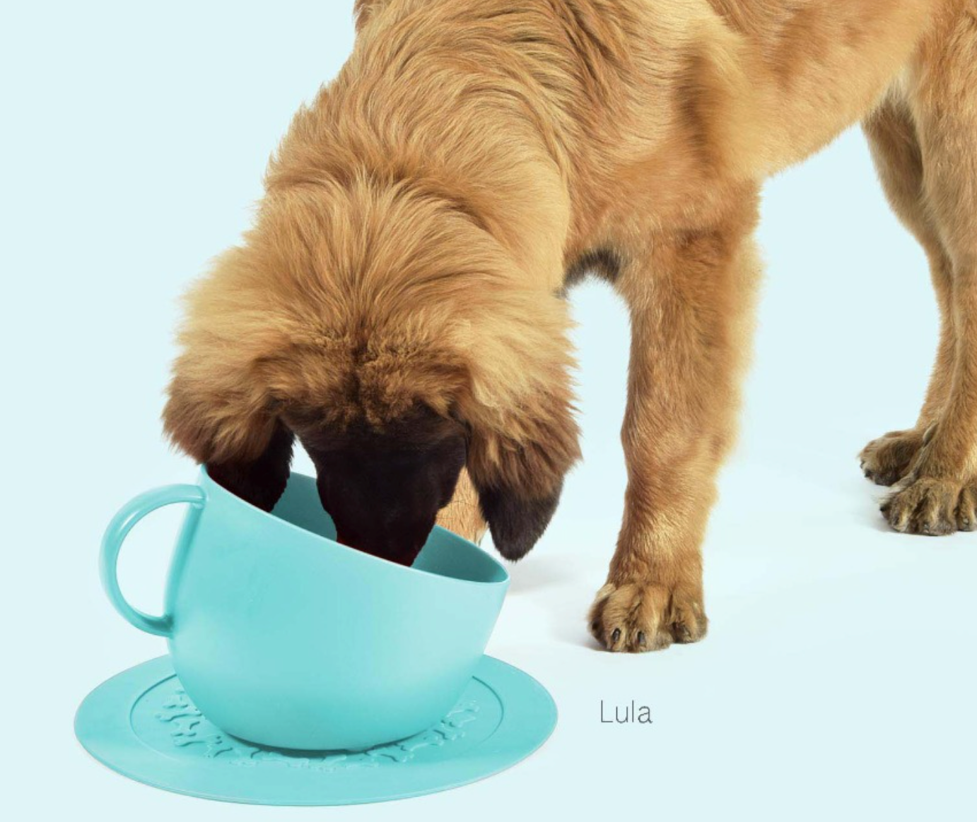 United Pets Set CUP 2500ml + Bowl mat