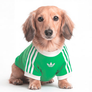 ADIDAS - Pet Cali Cotton Tee