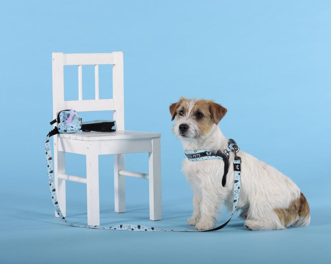 Complete Me - "Writing" Harness