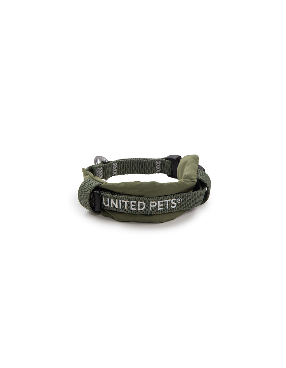 United Pets - Citylife - Collar ecológico con cuello interior acolchado