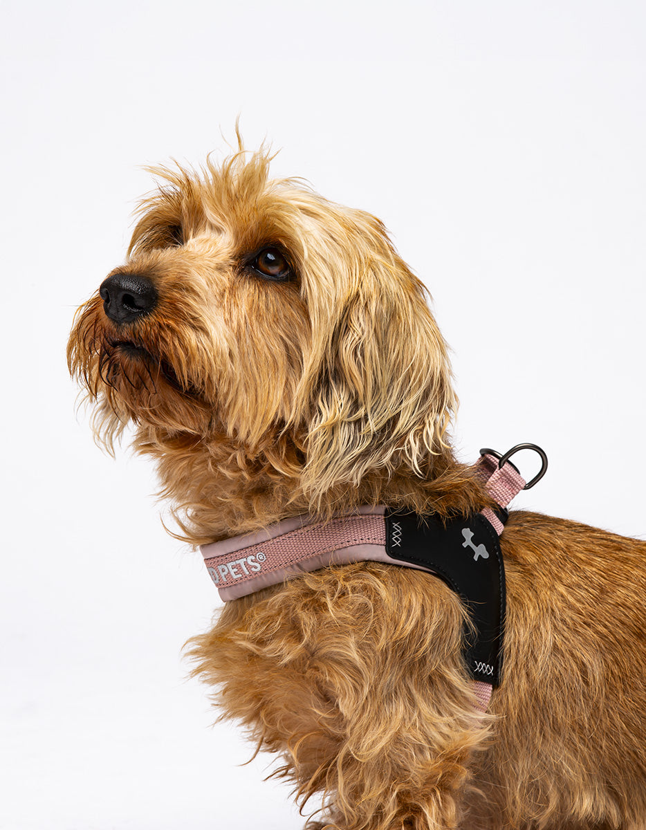 United Pets - Citylife - Quick attach harness