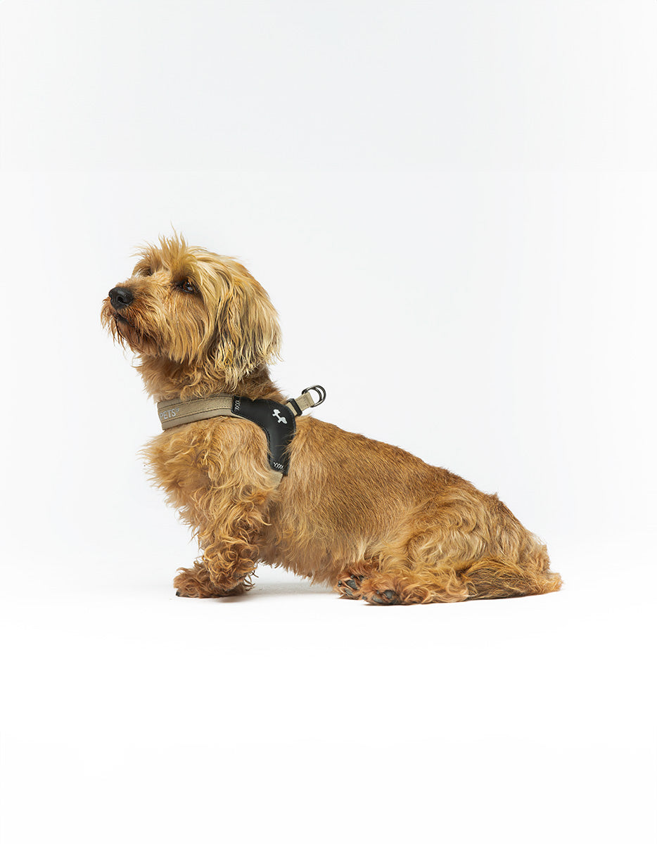 United Pets - Citylife - Quick attach harness