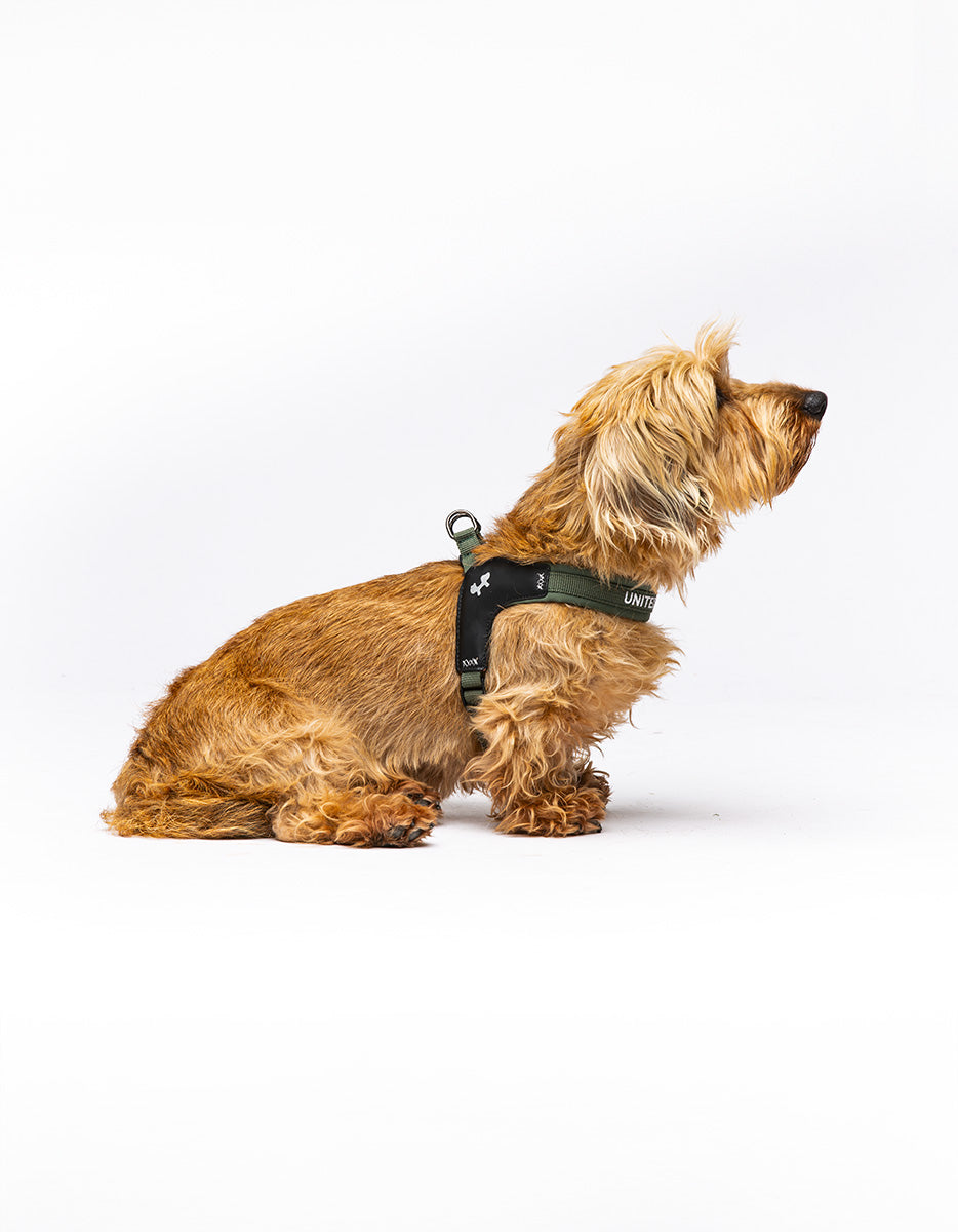 United Pets - Citylife - Quick attach harness