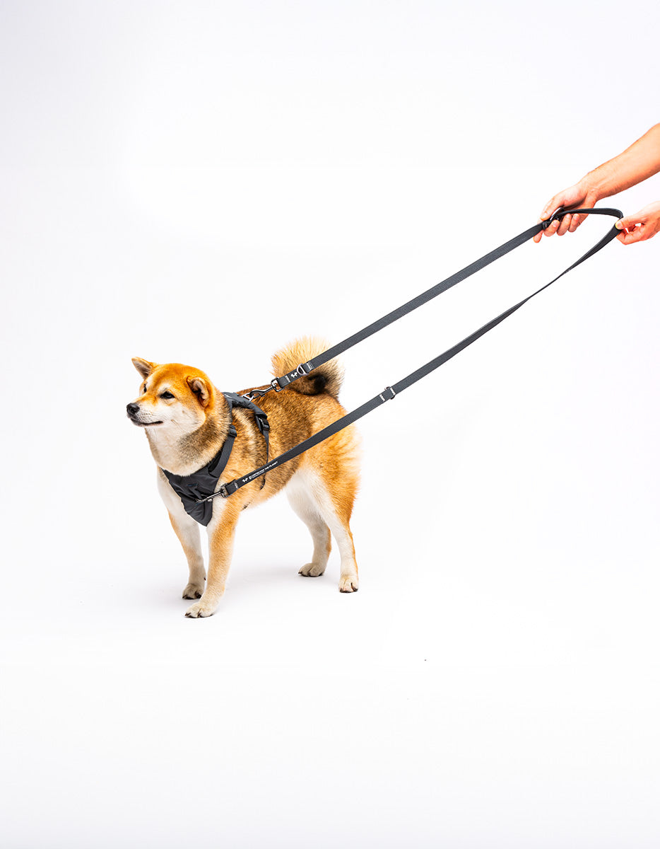 United Pets - Citylife - Training Leash