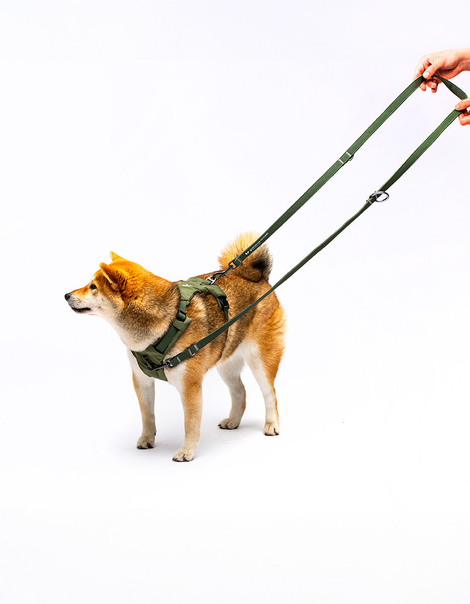 United Pets - Citylife - Training Leash