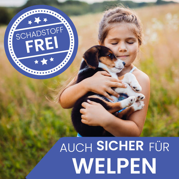 Ne&no® Robustes Hundespielzeug mit Quietscher - Waschbär Wally