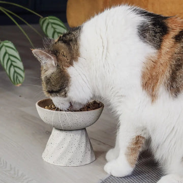 Ne&No - cuenco elevado de cerámica para gatos efecto piedra - 0