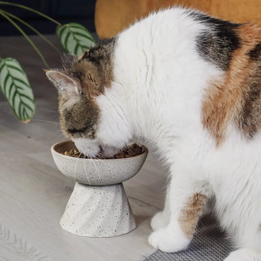 Ne&No - erhöhte Keramikschale für Katzen mit Steineffekt - 0