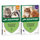 Advantage Spot On gatti 4 pipette - Antiparassitari