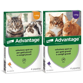 Advantage Spot On gatti 4 pipette - Antiparassitari