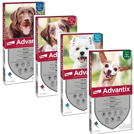 Advantix™ spot-on per cani - Antiparassitari