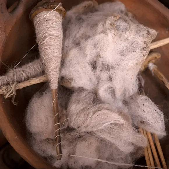 Alqo Wasi - Maglioncino Blu - Maglioncini