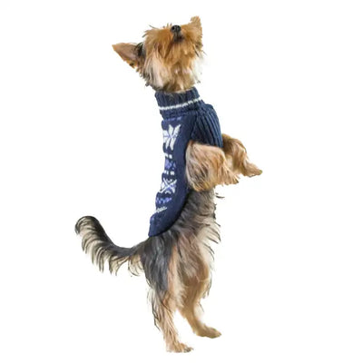 Alqo Wasi - Maglioncino Blu - Maglioncini