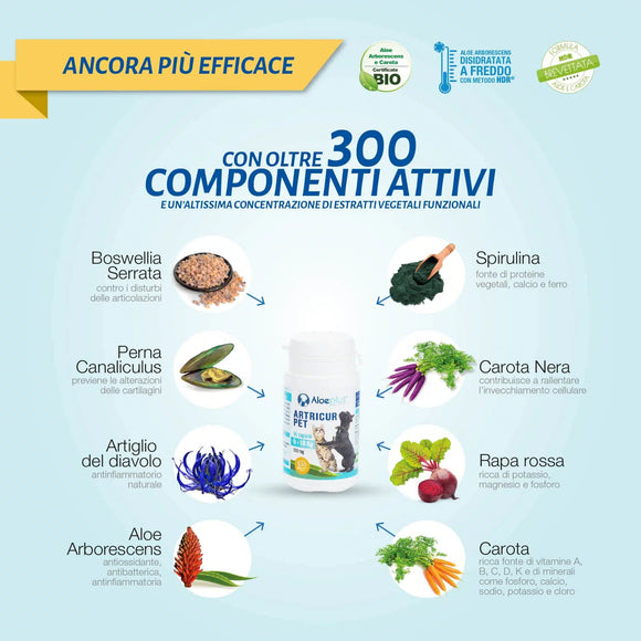 Aloeplus Artricur
