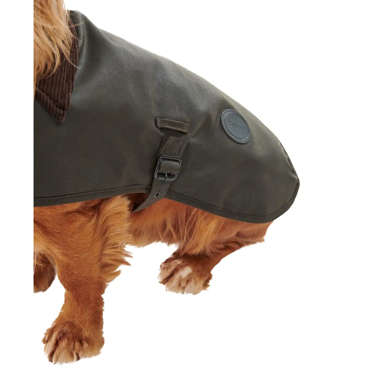 Barbour waxed coat for dogs Pet Boutique - Main Image
