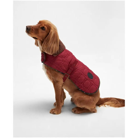Barbour - Cappotto per cani Dog Bone - Cappottini