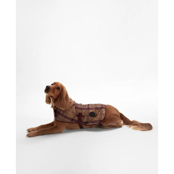 Barbour - Cappotto per cani Trapuntato - Cappottini