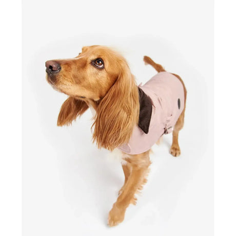 Barbour - Cappotto per cani Trapuntato Pink - Cappottini