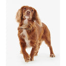 Barbour - Collare per cani in pelle - Collari