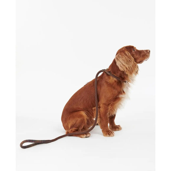 Barbour - Guinzaglio con bordo Tartan - Guinzagli