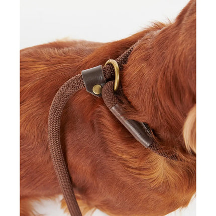 Barbour - Guinzaglio con bordo Tartan - Guinzagli