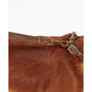 Barbour - Guinzaglio per cani in pelle - Guinzagli
