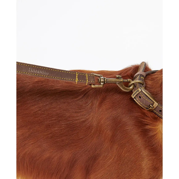 Barbour - Guinzaglio per cani in pelle - Guinzagli