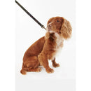 Barbour - Guinzaglio per cani Tartan - 1.9cm x 100cm - Guinzagli