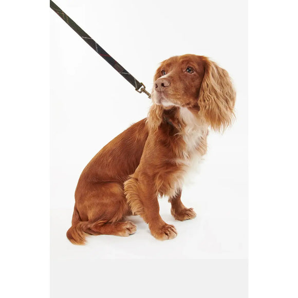 Barbour - Guinzaglio per cani Tartan - 1.9cm x 100cm - Guinzagli