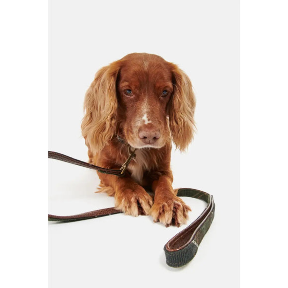 Barbour - Guinzaglio per cani Tartan - 1.9cm x 100cm - Guinzagli