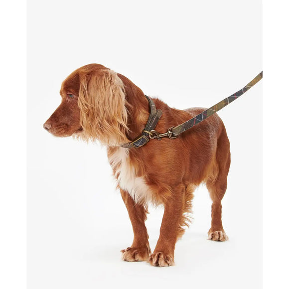 Barbour - Guinzaglio per cani Webbing Tartan - Guinzagli
