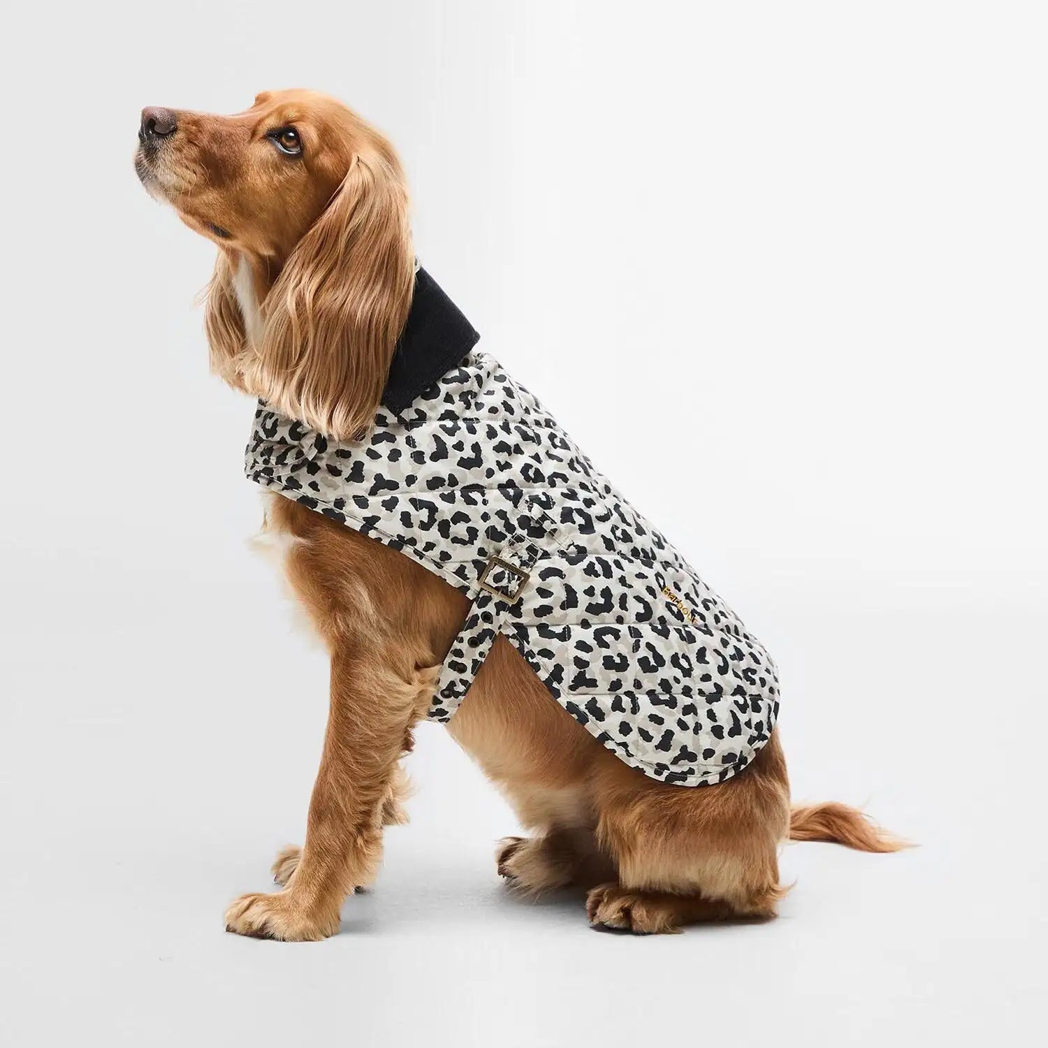 Barbour - Cappotto per cani trapuntato Harley