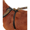 Barbour - Pettorina per cani Tartan - Pettorine